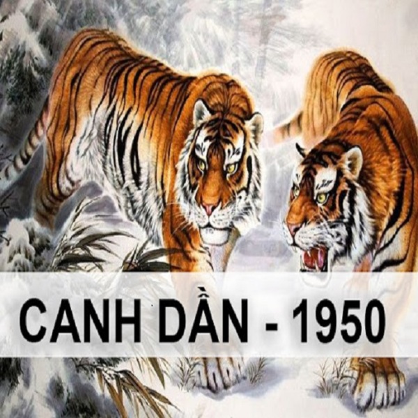 Sinh năm 1950 mệnh gì? Những điều Canh Dần 1950 cần lưu ý