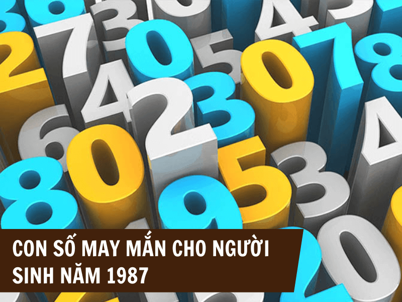 Tuổi Đinh Mão 1987 Mệnh Gì? Hợp Với Tuổi Gì, Hợp Màu Gì?