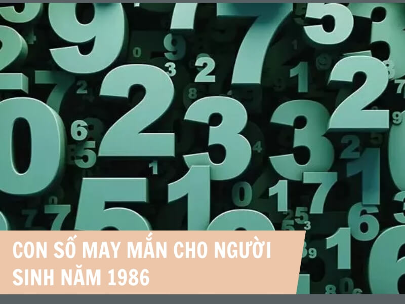 Tuổi Bính Dần 1986 Mệnh Gì? Hợp Với Tuổi Gì, Hợp Màu Gì?