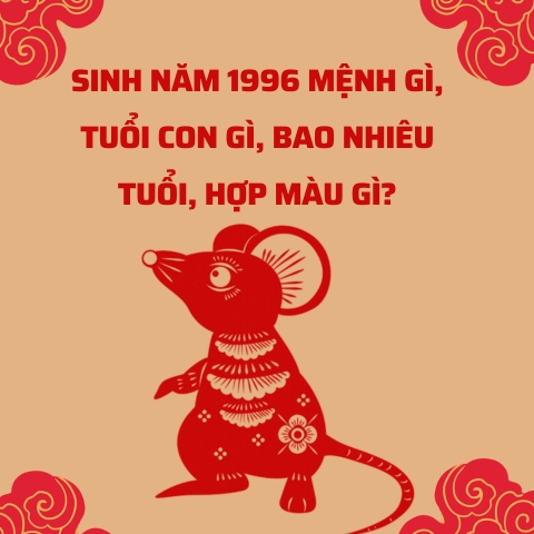 Sinh năm 1996 mệnh gì, tuổi con gì, bao nhiêu tuổi, hợp màu gì?