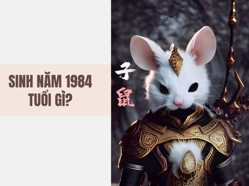 Tuổi Giáp Tý 1984 Mệnh Gì? Hợp Với Tuổi Gì, Hợp Màu Gì?