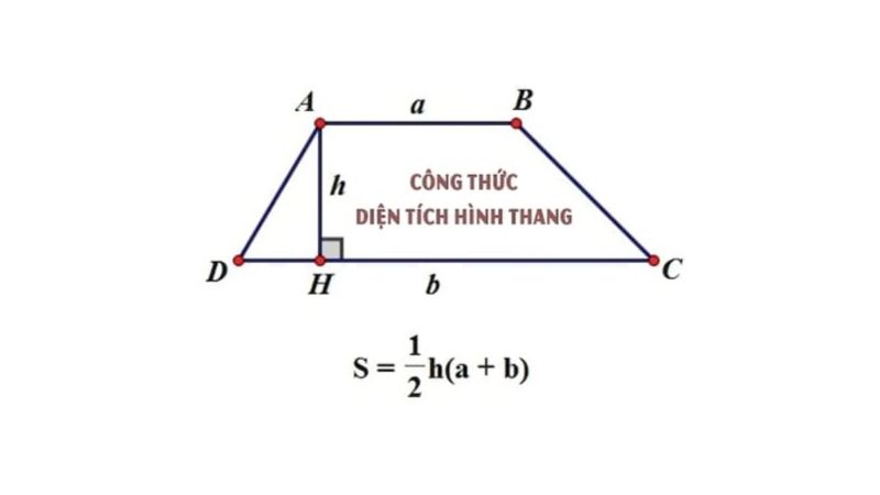 Cách tính diện tích hình thang & hình thang vuông, bài tập thực hành minh họa chi tiết