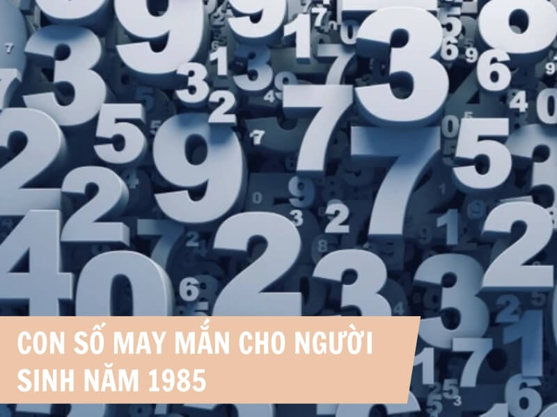 Tuổi Ất Sửu 1985 Mệnh Gì? Hợp Với Tuổi Gì, Hợp Màu Gì?