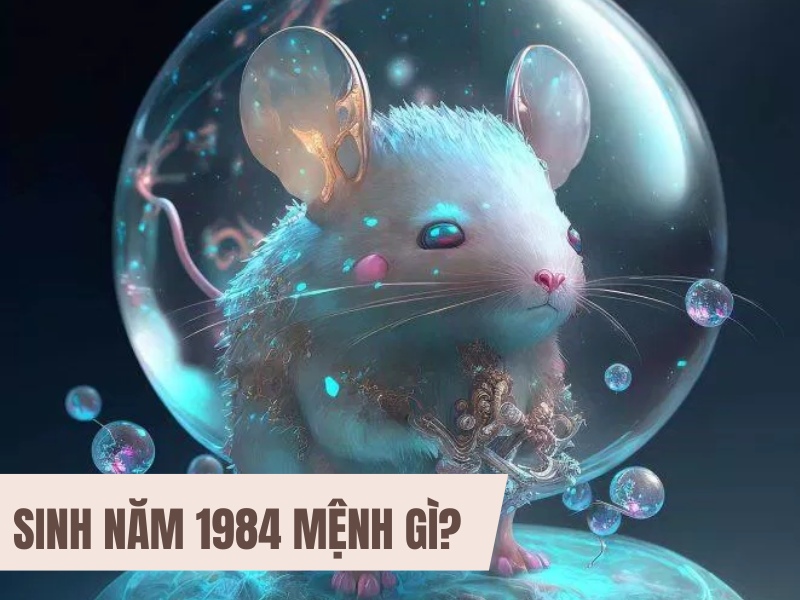 Tuổi Giáp Tý 1984 Mệnh Gì? Hợp Với Tuổi Gì, Hợp Màu Gì?