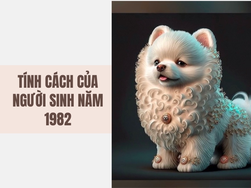 Tuổi Nhâm Tuất 1982 Mệnh Gì? Hợp Với Tuổi Gì, Hợp Màu Gì?