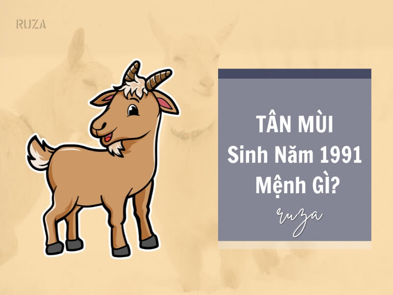 Tuổi Tân Mùi 1991 mệnh gì? Hợp với tuổi gì, hợp màu gì? Hãy xem để chọn cho mình sao cho hợp phong thuỷ nhất