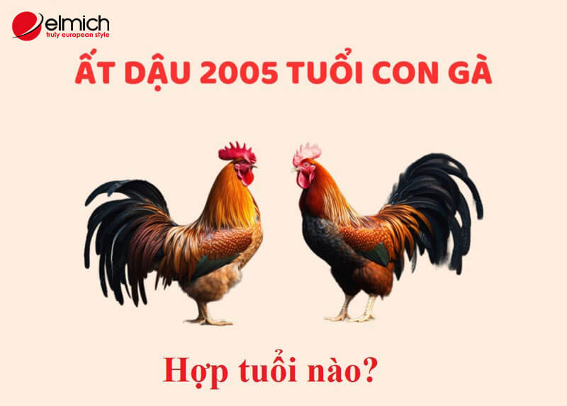 2005 hợp màu gì? Màu nào tăng vận may, tài lộc cho Ất Dậu 2005