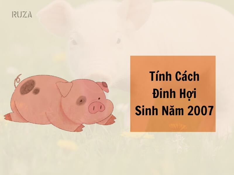 Tuổi Đinh Hợi 2007 Mệnh Gì? Hợp Với Tuổi Gì, Hợp Màu Gì?