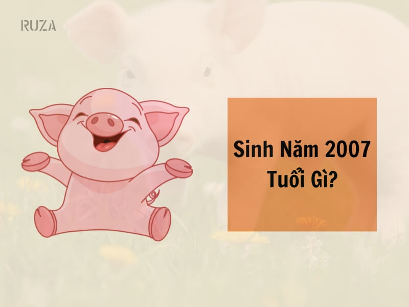 Tuổi Đinh Hợi 2007 Mệnh Gì? Hợp Với Tuổi Gì, Hợp Màu Gì?