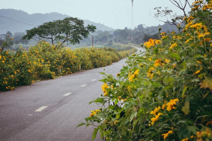 Du lịch Ba Vì 2 ngày 1 đêm: kinh nghiệm vui chơi, ăn uống, lưu trú chi tiết