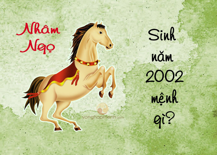 2002 mệnh gì? tuổi gì? Tình duyên, sự nghiệp, vận mệnh ra sao?