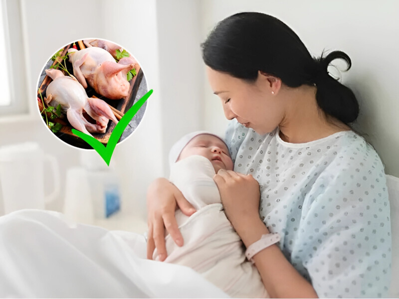 Cách nấu cháo chim bồ câu cho người ốm ngon bổ dưỡng