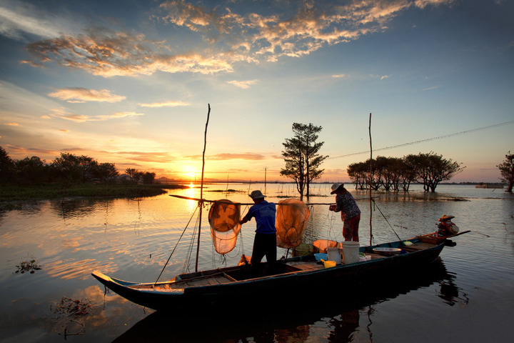 Bức tranh đẹp nhất về quê hương