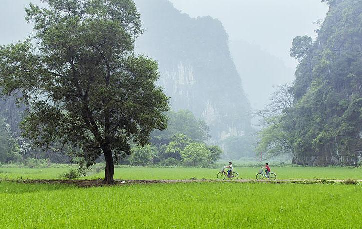 Bức tranh đẹp nhất về quê hương