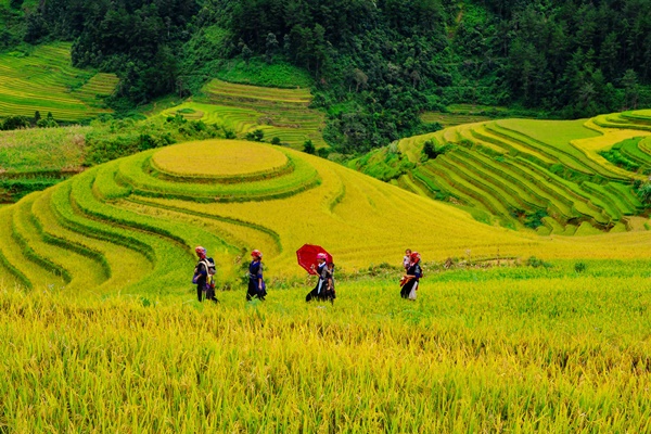 10 địa điểm du lịch ở Mù Cang Chải không nên bỏ qua