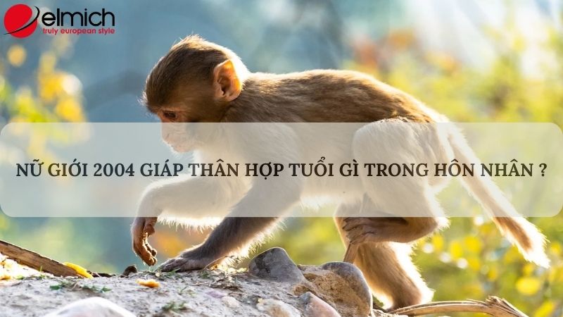 Giải mã chi tiết Giáp Thân 2004 hợp tuổi gì trong làm ăn và hôn nhân