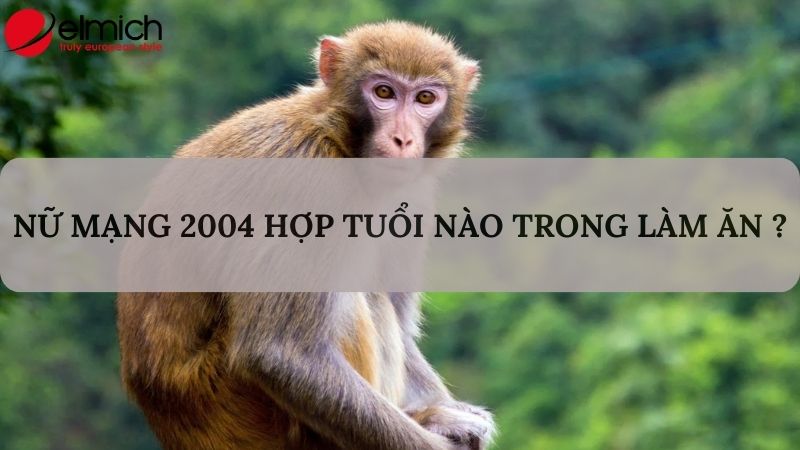 Giải mã chi tiết Giáp Thân 2004 hợp tuổi gì trong làm ăn và hôn nhân