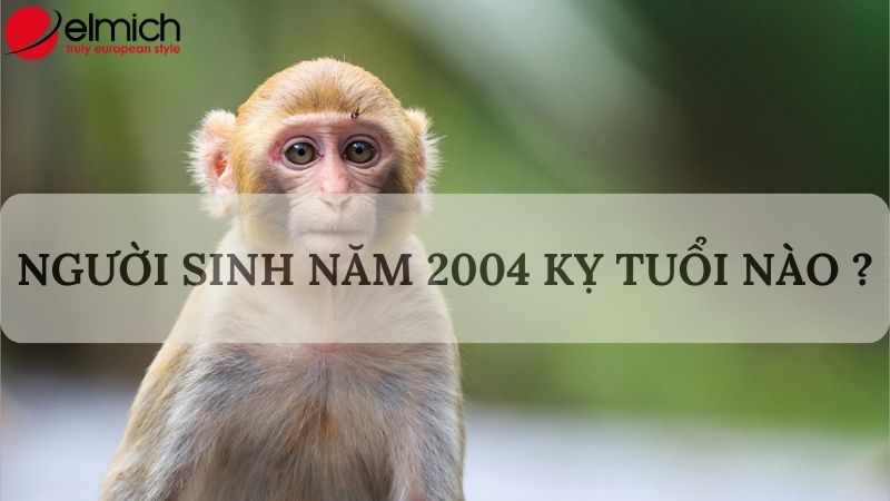 Giải mã chi tiết Giáp Thân 2004 hợp tuổi gì trong làm ăn và hôn nhân