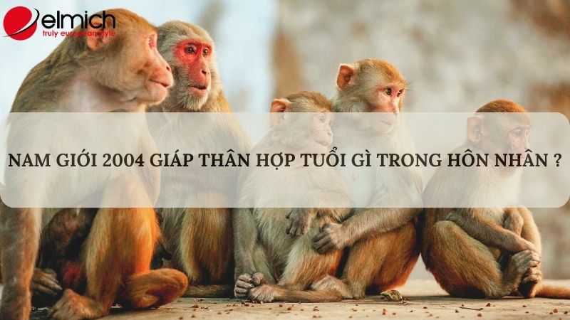 Giải mã chi tiết Giáp Thân 2004 hợp tuổi gì trong làm ăn và hôn nhân