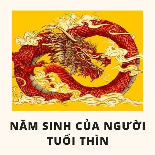 Tuổi thìn hợp màu gì và cách chọn màu sắc hợp với tuổi thìn