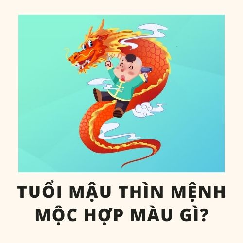 Tuổi thìn hợp màu gì và cách chọn màu sắc hợp với tuổi thìn