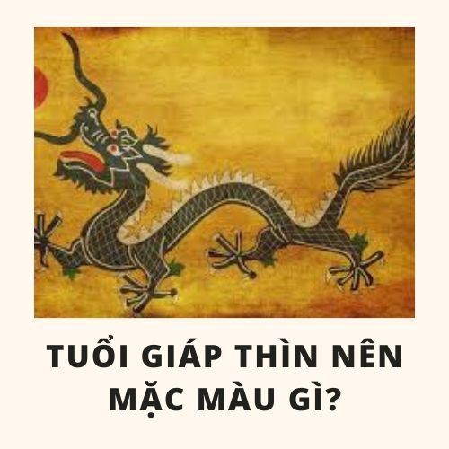 Tuổi thìn hợp màu gì và cách chọn màu sắc hợp với tuổi thìn