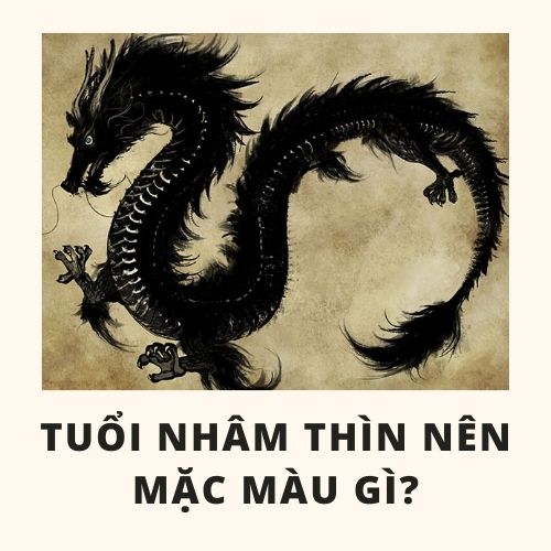 Tuổi thìn hợp màu gì và cách chọn màu sắc hợp với tuổi thìn