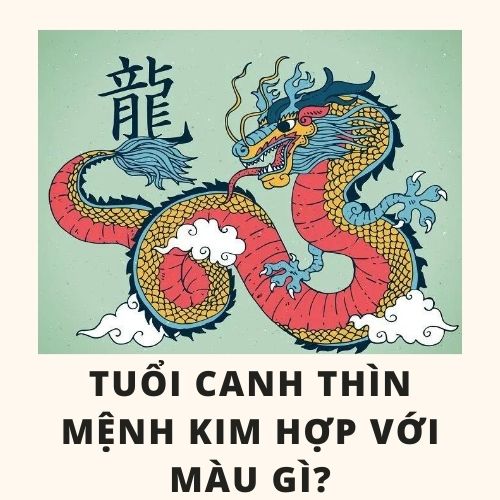 Tuổi thìn hợp màu gì và cách chọn màu sắc hợp với tuổi thìn