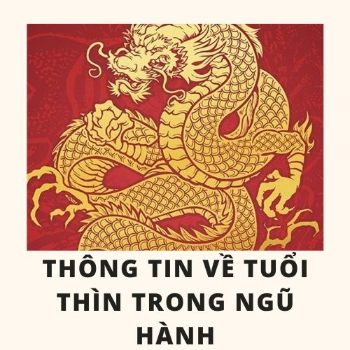 Tuổi thìn hợp màu gì và cách chọn màu sắc hợp với tuổi thìn