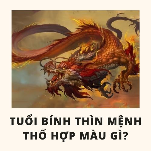 Tuổi thìn hợp màu gì và cách chọn màu sắc hợp với tuổi thìn