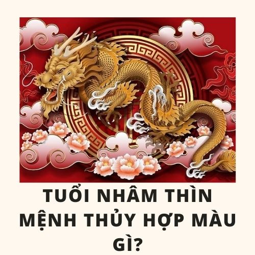 Tuổi thìn hợp màu gì và cách chọn màu sắc hợp với tuổi thìn