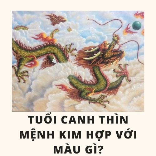 Tuổi thìn hợp màu gì và cách chọn màu sắc hợp với tuổi thìn