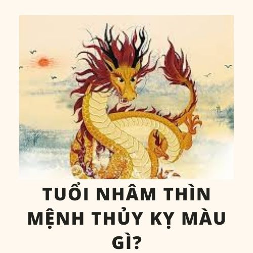 Tuổi thìn hợp màu gì và cách chọn màu sắc hợp với tuổi thìn