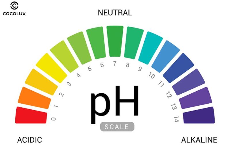 Hướng Dẫn Sử Dụng Dung Dịch Vệ Sinh Phụ Nữ Đúng Cách