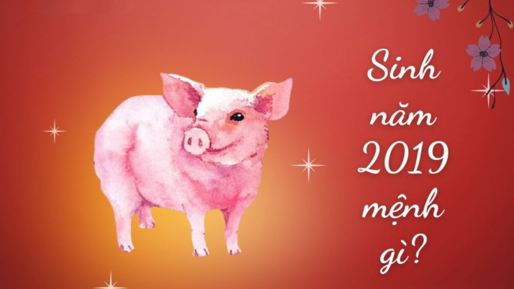 2019 là năm con gì? Sinh năm 2019 hợp tuổi gì, màu gì?