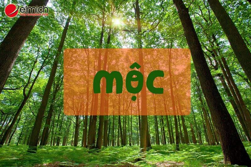 Mệnh Mộc hợp màu gì? Tận dụng ngũ hành lựa chọn màu sắc