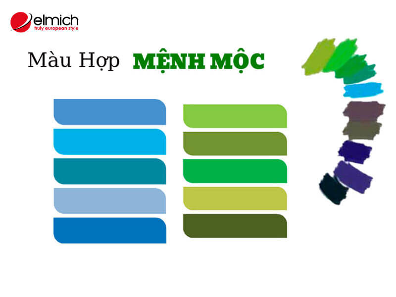 Mệnh Mộc hợp màu gì? Tận dụng ngũ hành lựa chọn màu sắc