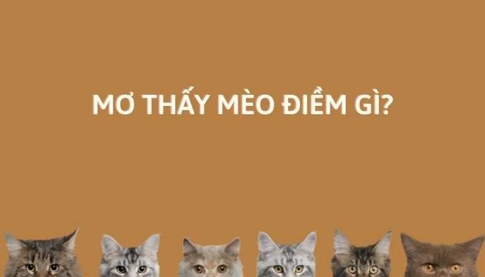 Mơ thấy mèo đánh con gì? Giải mã giấc mơ thấy mèo