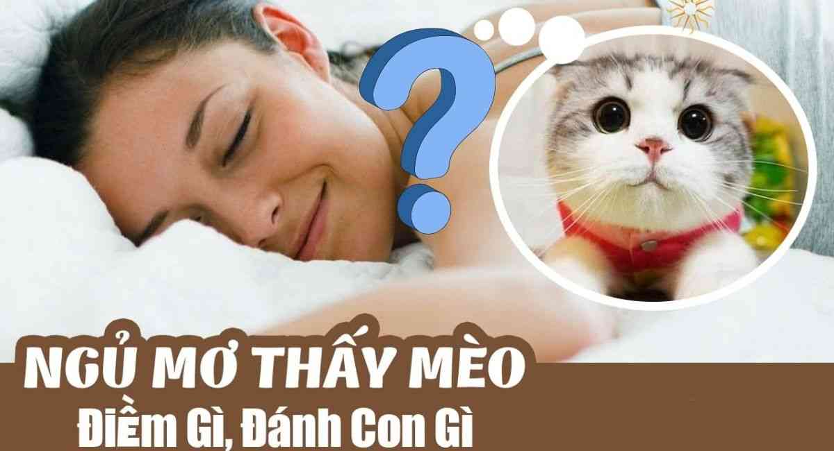 Mơ thấy mèo đánh con gì? Giải mã giấc mơ thấy mèo