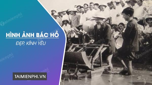 Hình ảnh bác Hồ đẹp, kính yêu và giản dị nhất dành cả cuộc đời mình cống hiến cho sự nghiệp của dân tộc Việt Nam