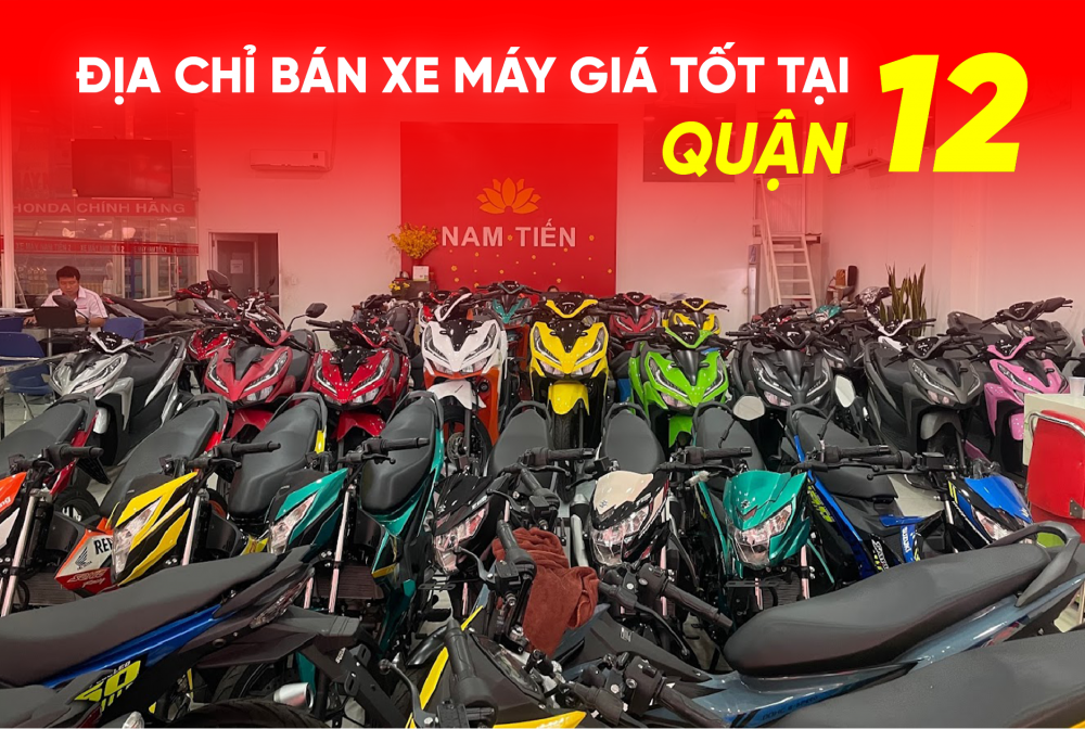 Lead 2024 có mấy màu