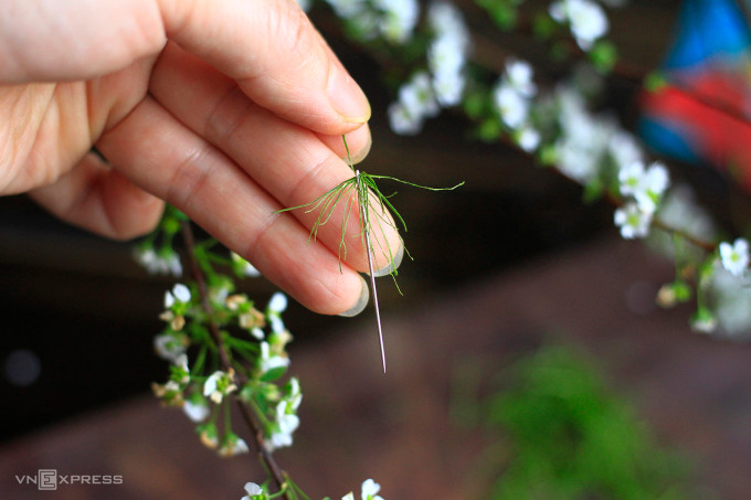 Mẹo thái lá chanh nhỏ hơn sợi chỉ