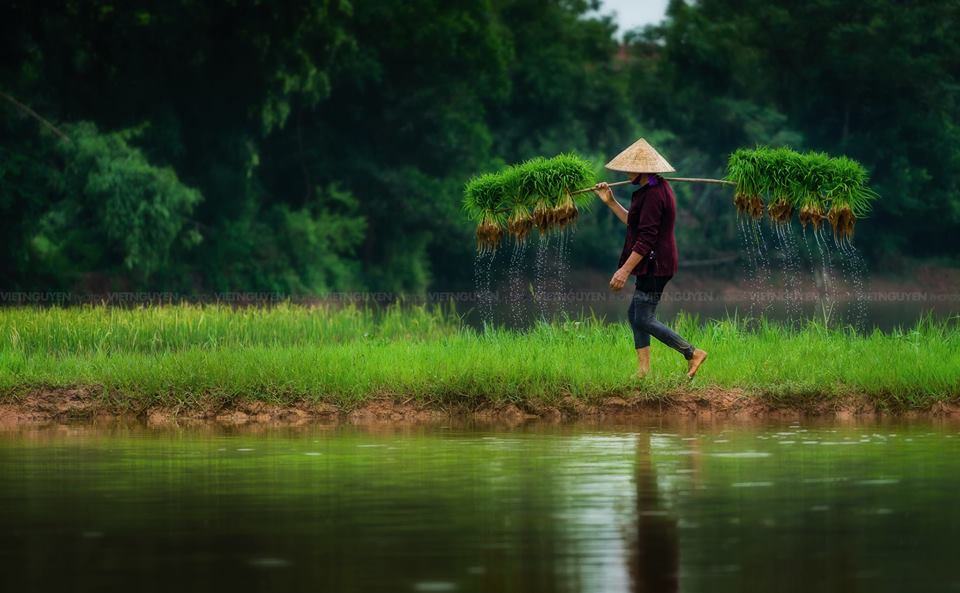 Những hình ảnh tuyệt vời về tình mẹ