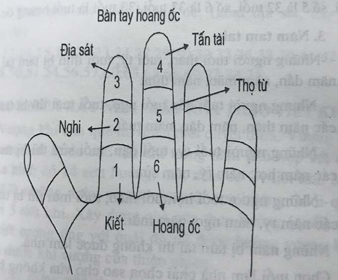 Xem tử vi tuổi Tân Hợi 1971 - Nam mạng năm 2024 CHI TIẾT NHẤT