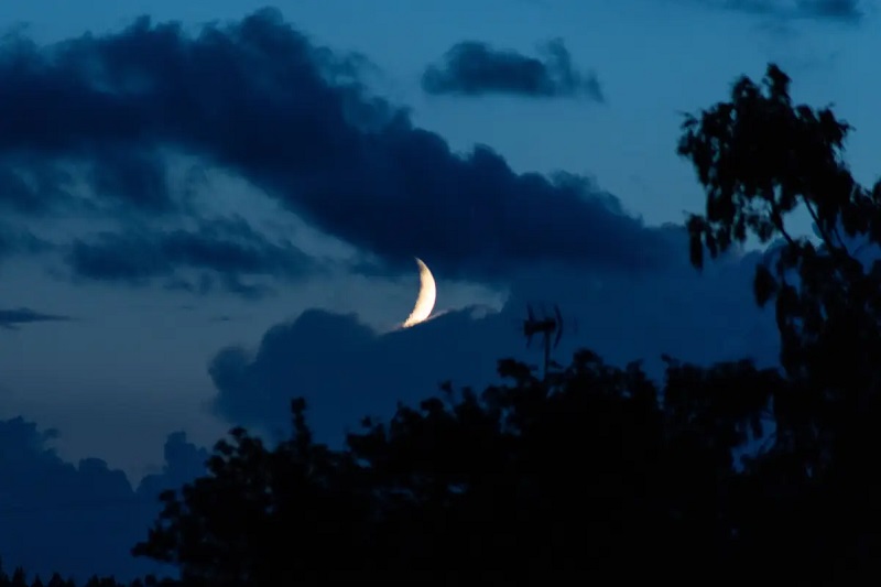 Bắt trend the moon on ngày tháng năm sinh