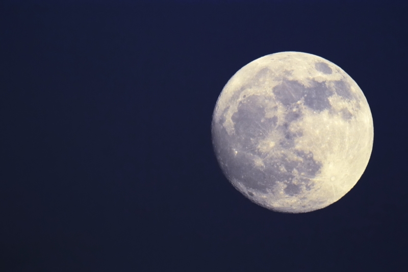 Bắt trend the moon on ngày tháng năm sinh