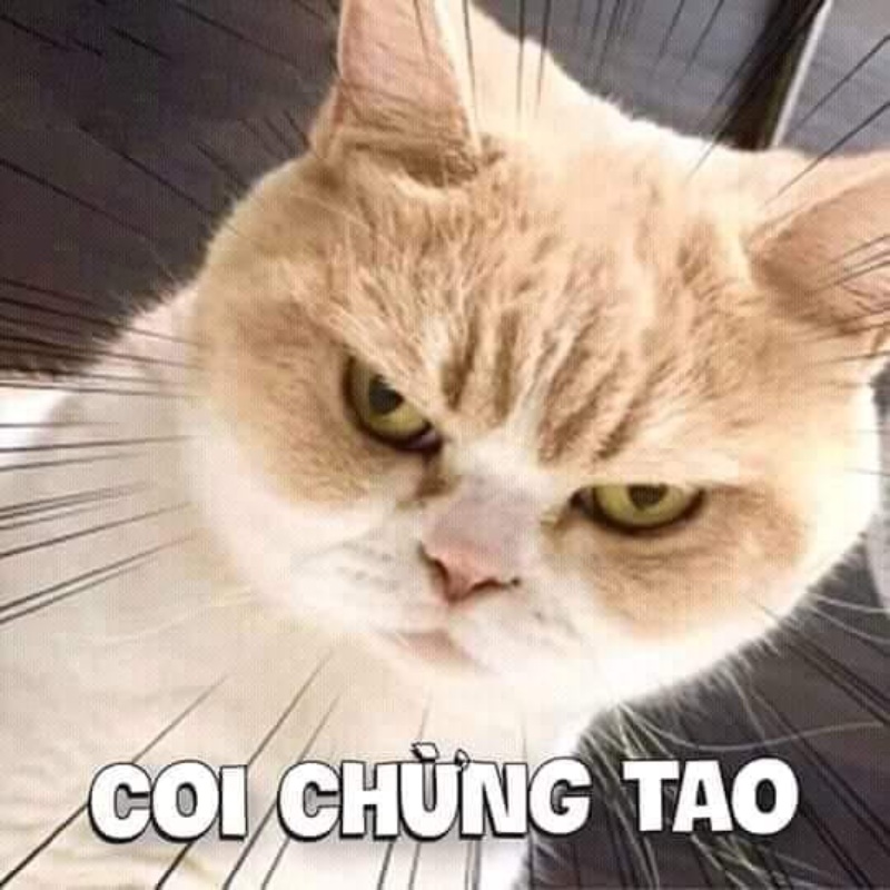 Cập nhật 80+ meme tức giận hung dữ, cute, dễ thương