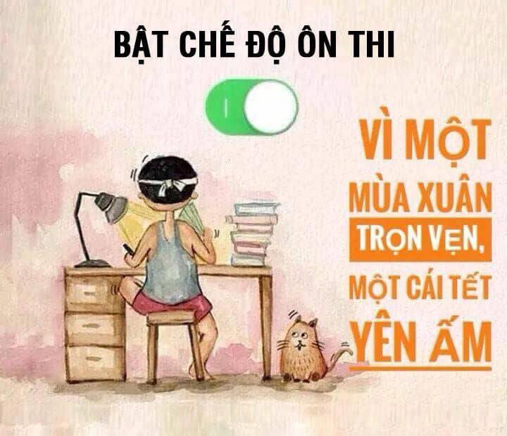 Ảnh đẹp và hài hước về quyết tâm ôn thi