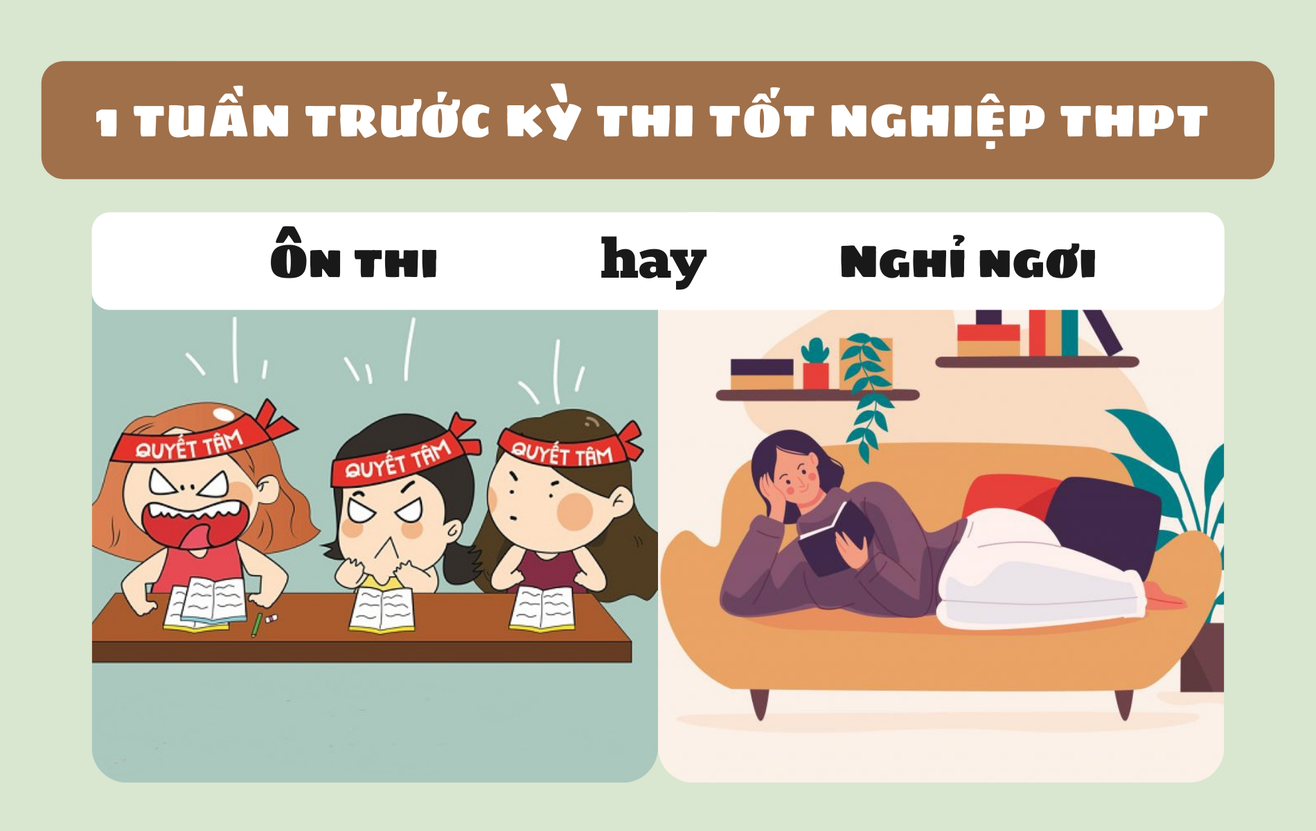 Ảnh đẹp và hài hước về quyết tâm ôn thi