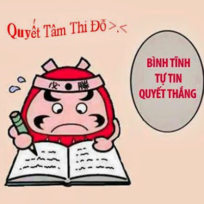 Ảnh đẹp và hài hước về quyết tâm ôn thi